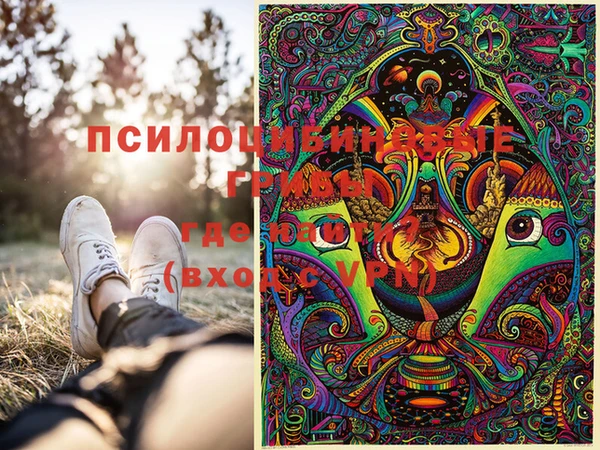 прущие грибы Абдулино