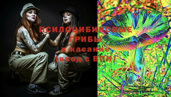 прущие грибы Абдулино