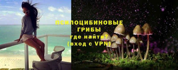 apvp Абаза