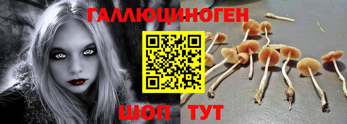 Галлюциногенные грибы Magic Shrooms Тихорецк